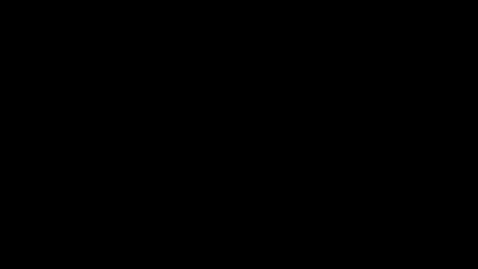 Ilustración de la sección